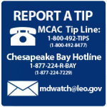 Report a Tip